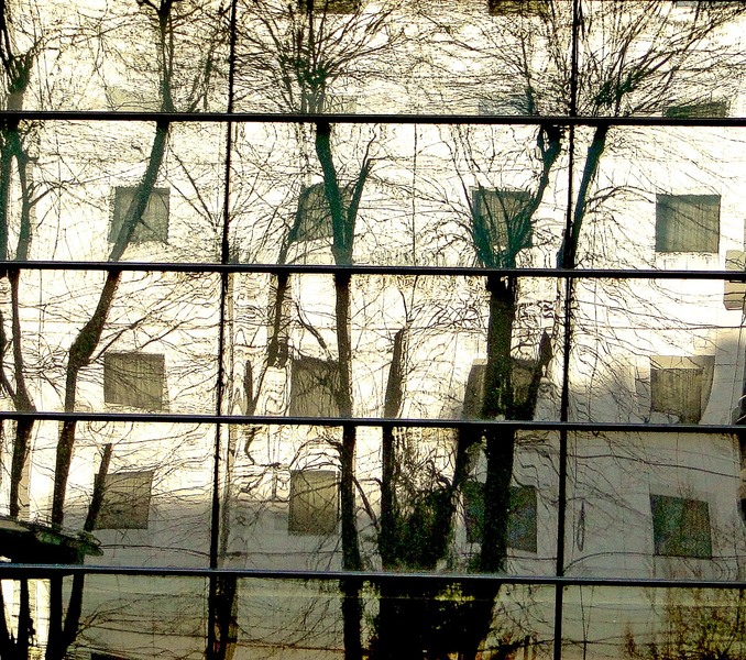 Sarutul vecinului de vis a vis