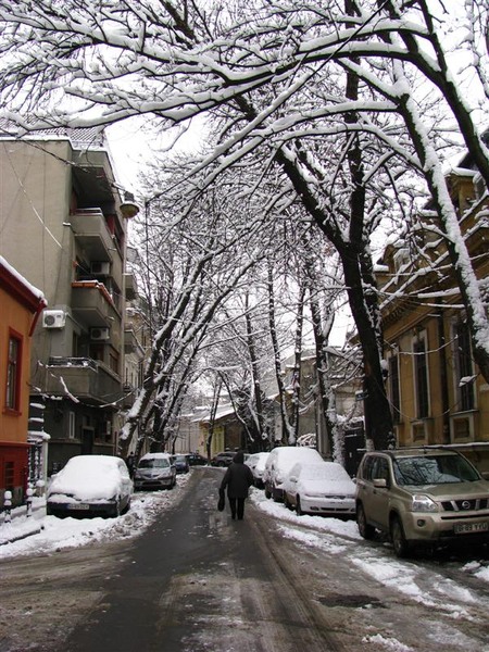 pe strada Donici Alexandru