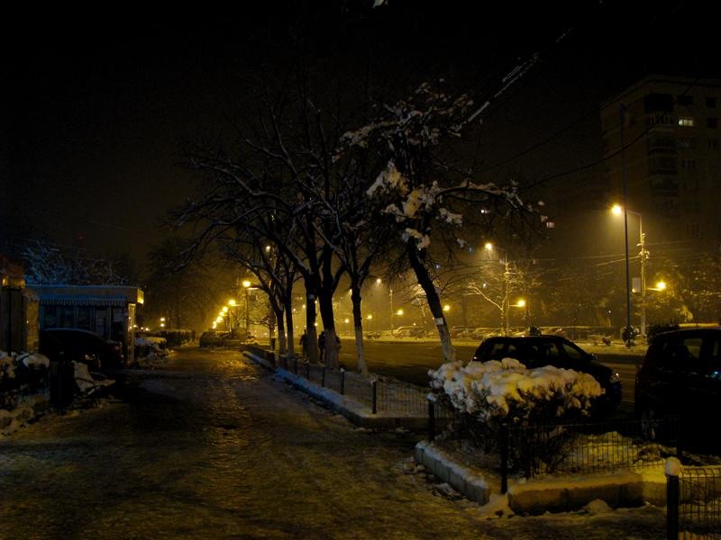 pe bulevardul Nicolae Grigorescu