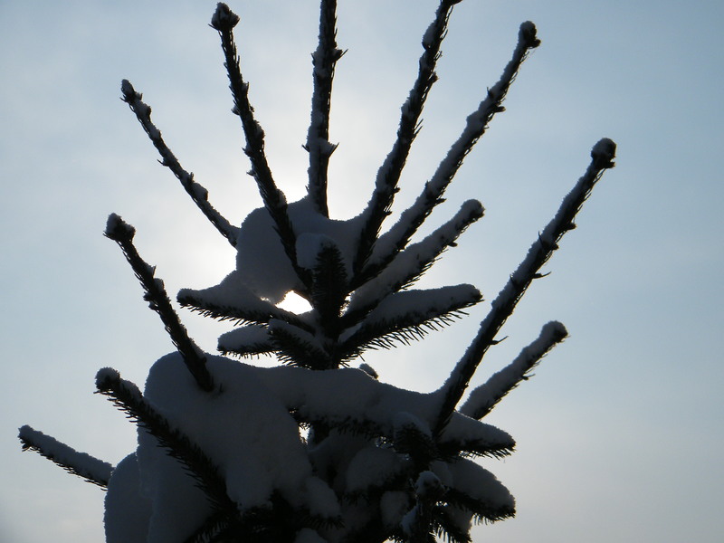 eclipsa2011_0104_101706