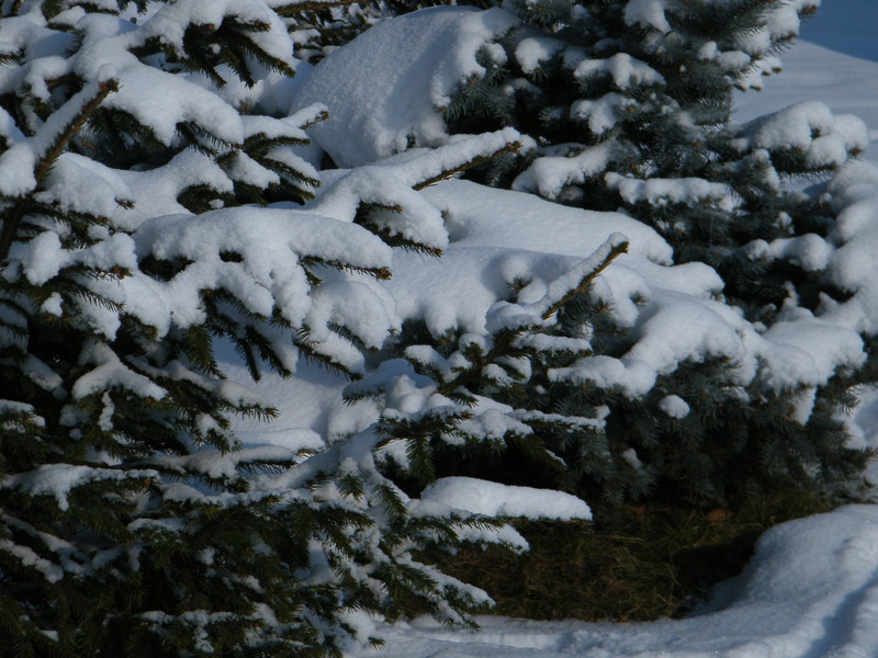 eclipsa2011_0104_120629