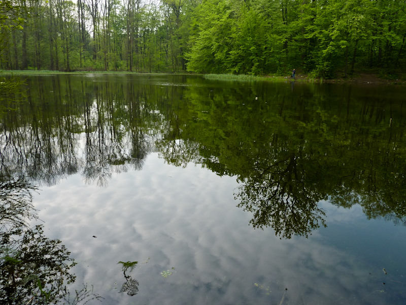 primavara_la_cernica