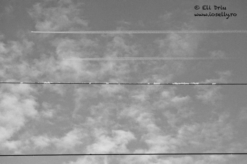 strada-liniei-22