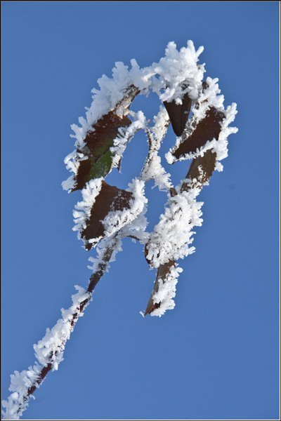 serbanv_strliniei_01