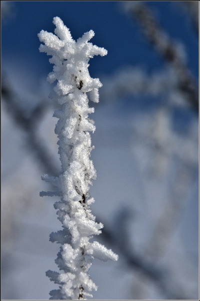 serbanv_strliniei_02