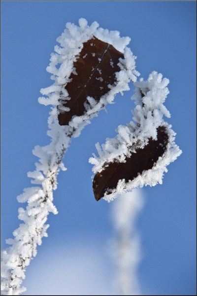 serbanv_strliniei_03