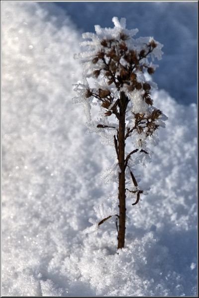 serbanv_strliniei_04