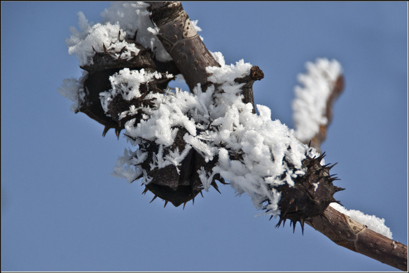 serbanv_strliniei_05