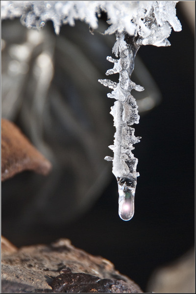 serbanv_strliniei_08