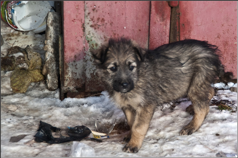 serbanv_strliniei_13