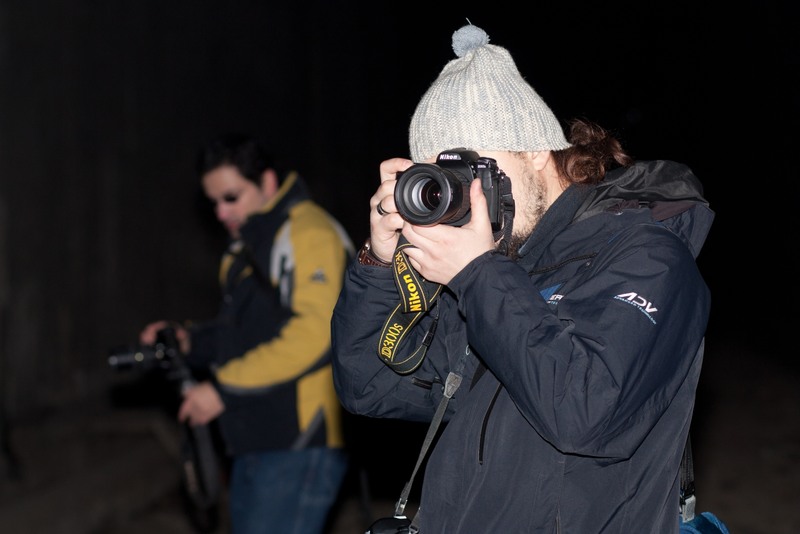 portrete-in-linie-11