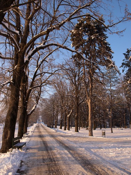 Drum de acces Manastirea Caldarusani