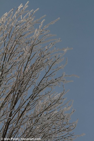 de-a-lungul-liniei-1