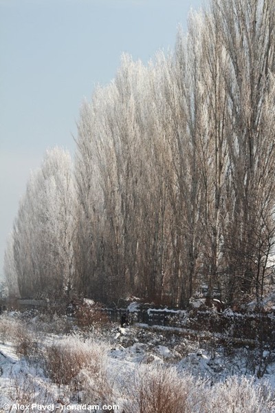 de-a-lungul-liniei-8