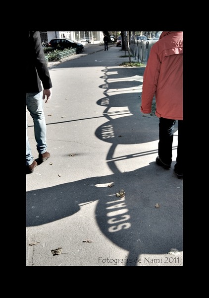 semanatoarea-domenii-2-311010