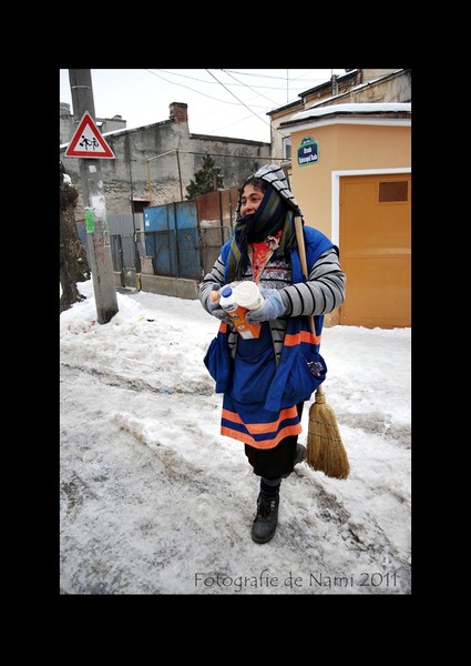 stefan-cel-mare-corneliu-coposu-60210