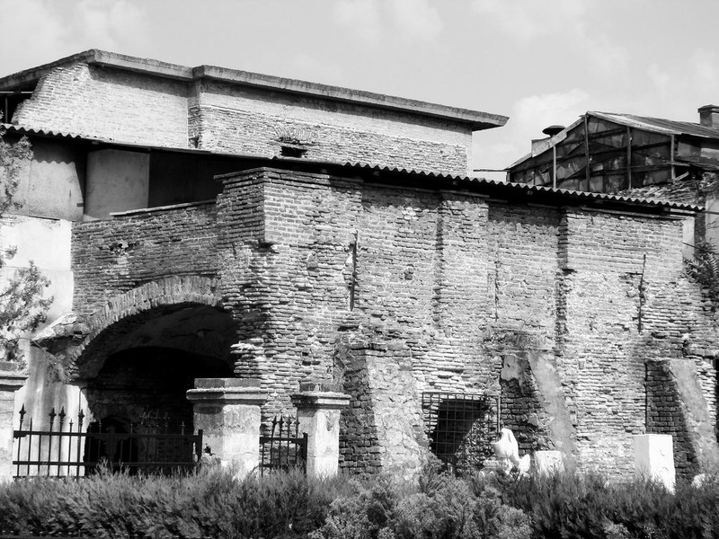 franceza_amargarit_17_1