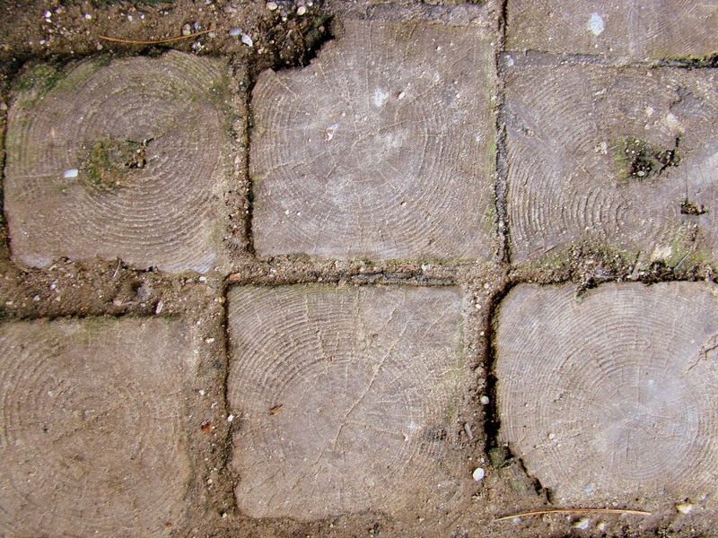 sepcari_amargarit_26_1