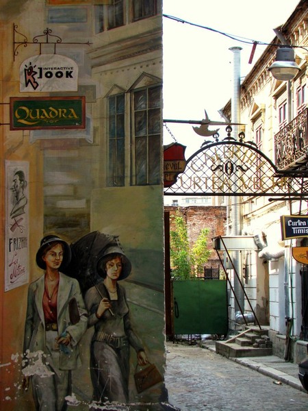 soarelui_amargarit_27_1