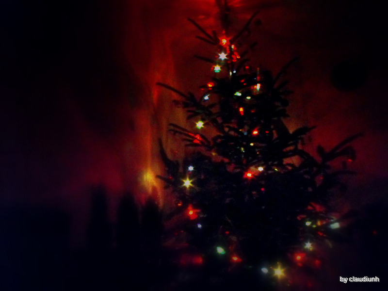 visul unei nopti de iarna