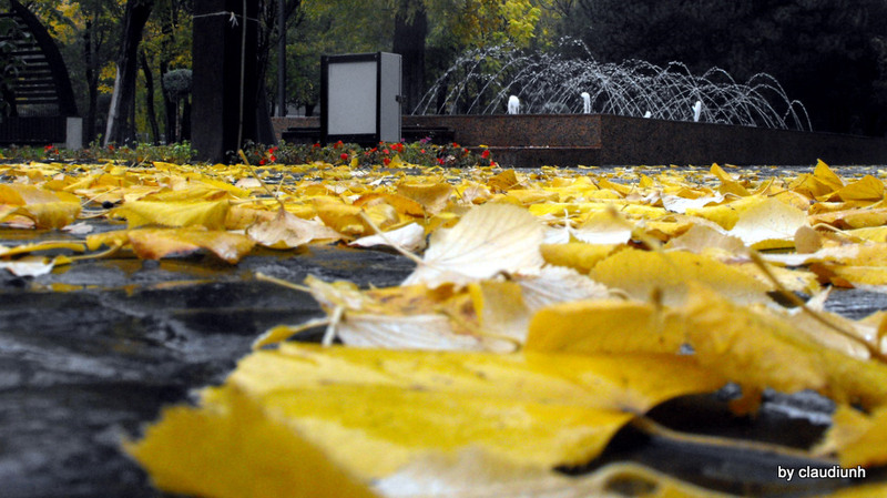 curge toamna pe trotuare