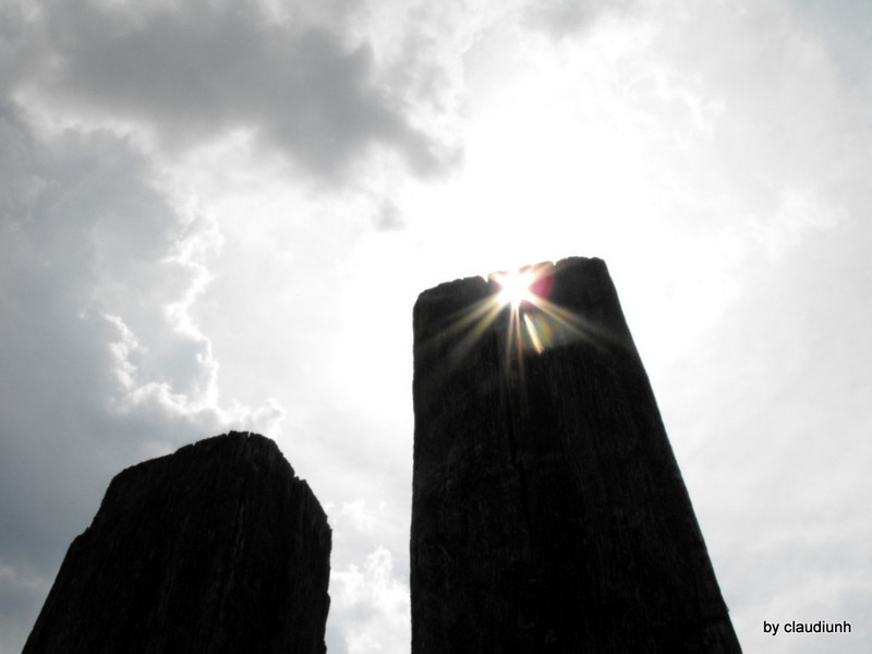 ocheada de la Zalmoxis