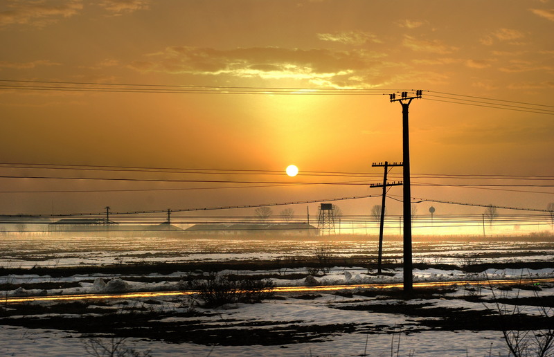 dsc_0667___rev_top2010