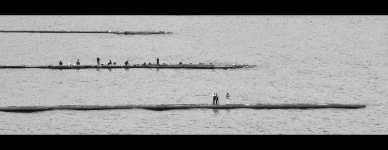 dsc_3116_crop_bw_orasultop2010