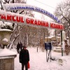 gradina-icoanei