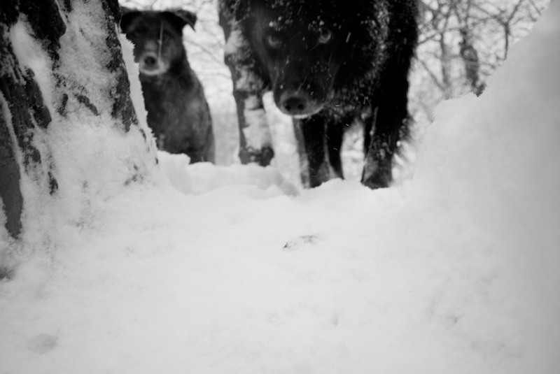 untitled-shoot-9816-edit-2