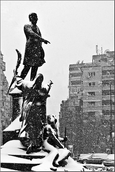 serbanv_cevreilor_02