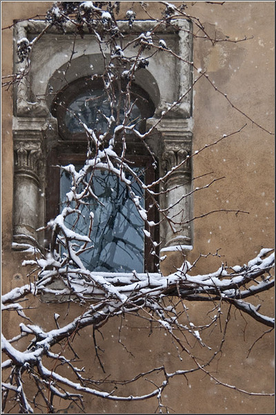 serbanv_cevreilor_03