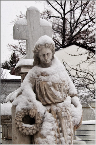 serbanv_cevreilor_08