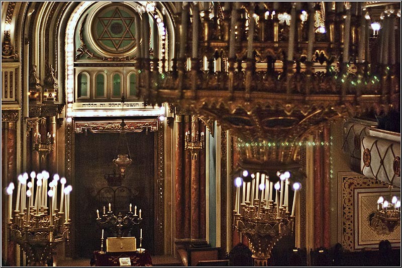 serbanv_cevreilor_15