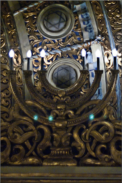 serbanv_cevreilor_17