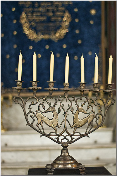 serbanv_cevreilor_20