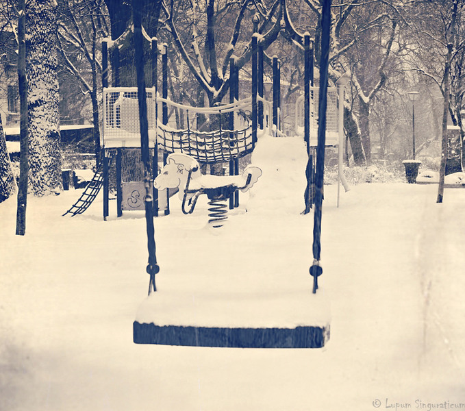 lupumsinguraticum002