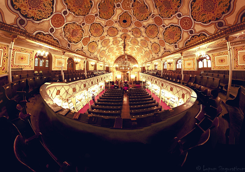 lupumsinguraticum006