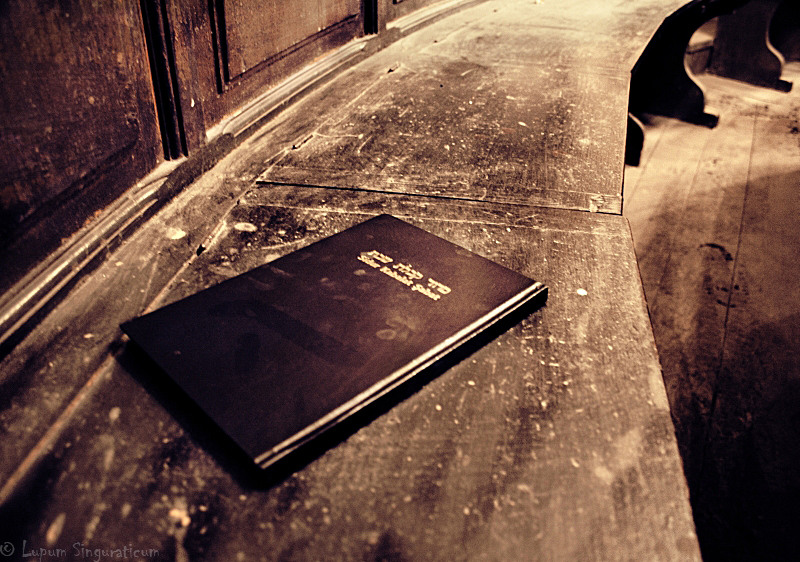 lupumsinguraticum007