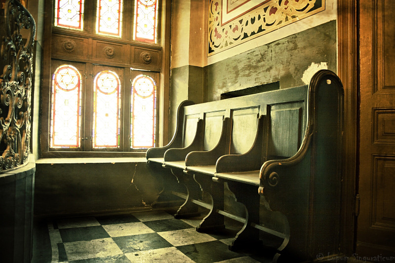 lupumsinguraticum009