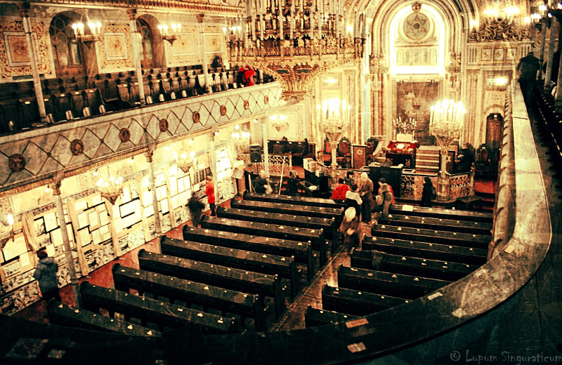 lupumsinguraticum010