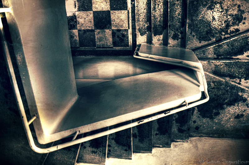 lupumsinguraticum011