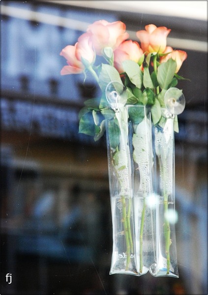 28-tradafiri-la-ceainarie