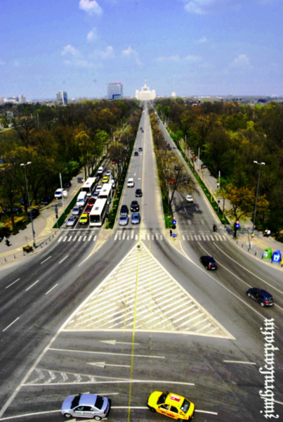 kisselef_by_zimbrulcarpatin