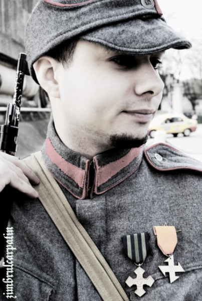 pentru_patrie_by_zimbrulcarpatin