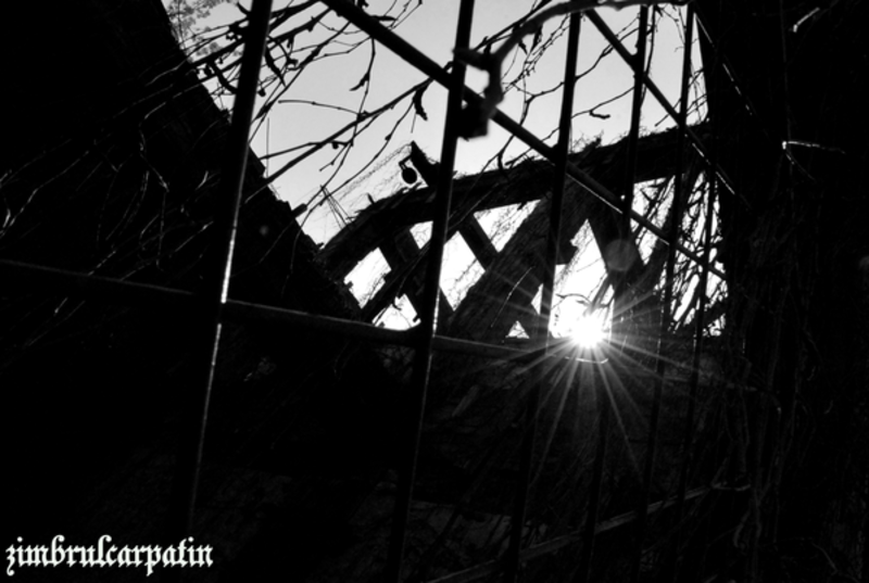 umbre_si_lumini_by_zimbrulcarpatin