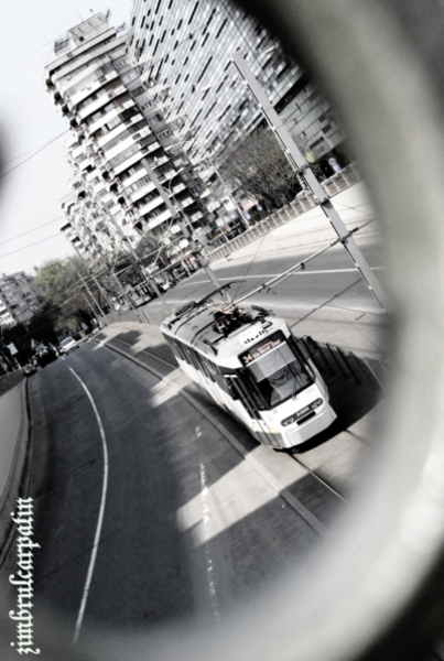 vitezomanul_by_zimbrulcarpatin