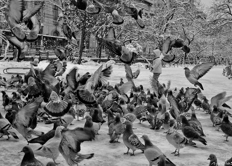 4245075436_90eb35a6f3_b