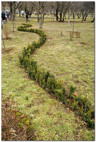 fundenii-doamnei_006