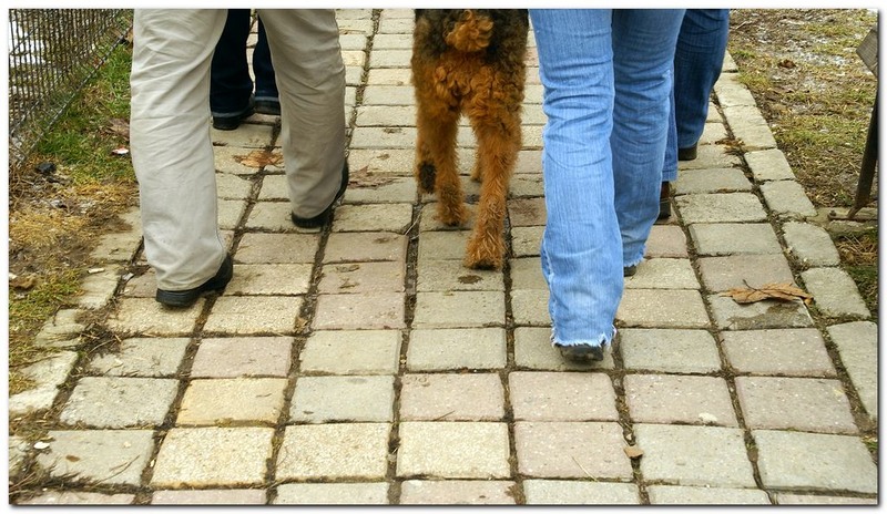 fundenii-doamnei_023